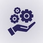 Customized Solutions icon